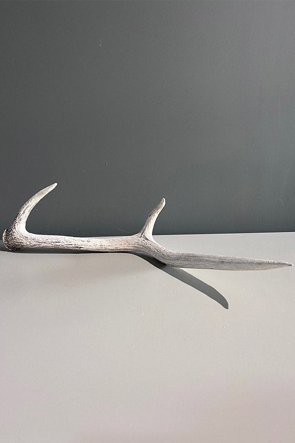 Elk Deer Antler