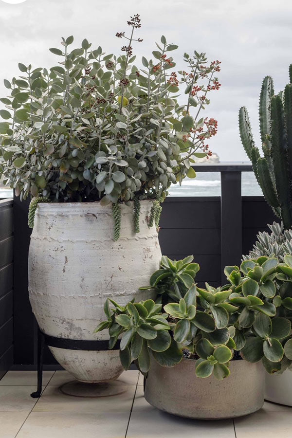 Large Turkish Dagar Pot