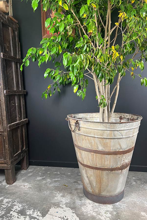 Reclaimed Large Olive Galvanised Planter V3