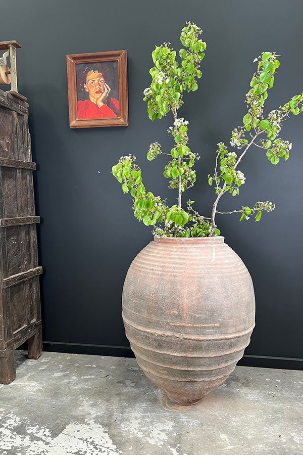 Large Turkish Odemis Pot