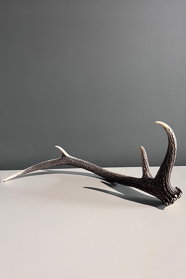 Elk Deer Antler