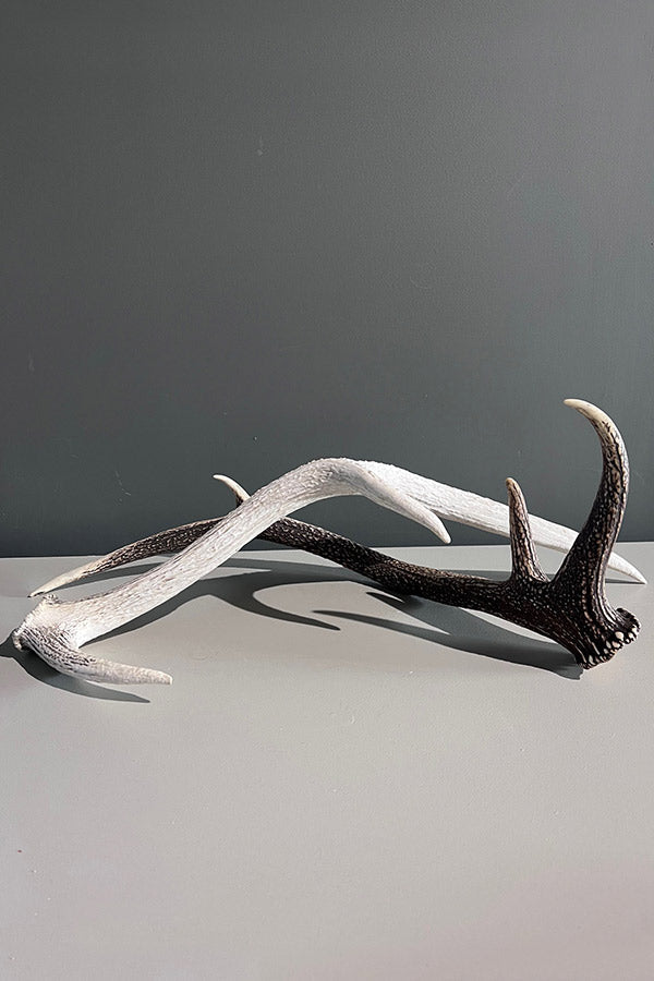 Elk Deer Antler