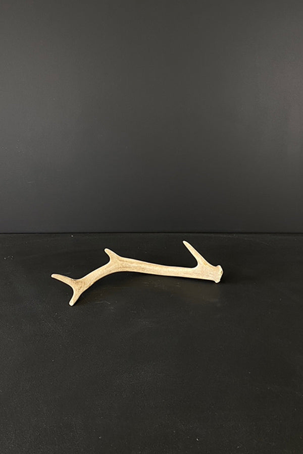 Small Elk Antler V2