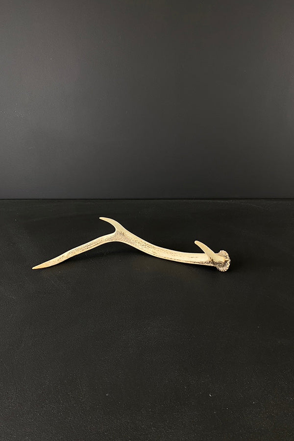 Small Elk Antler V3