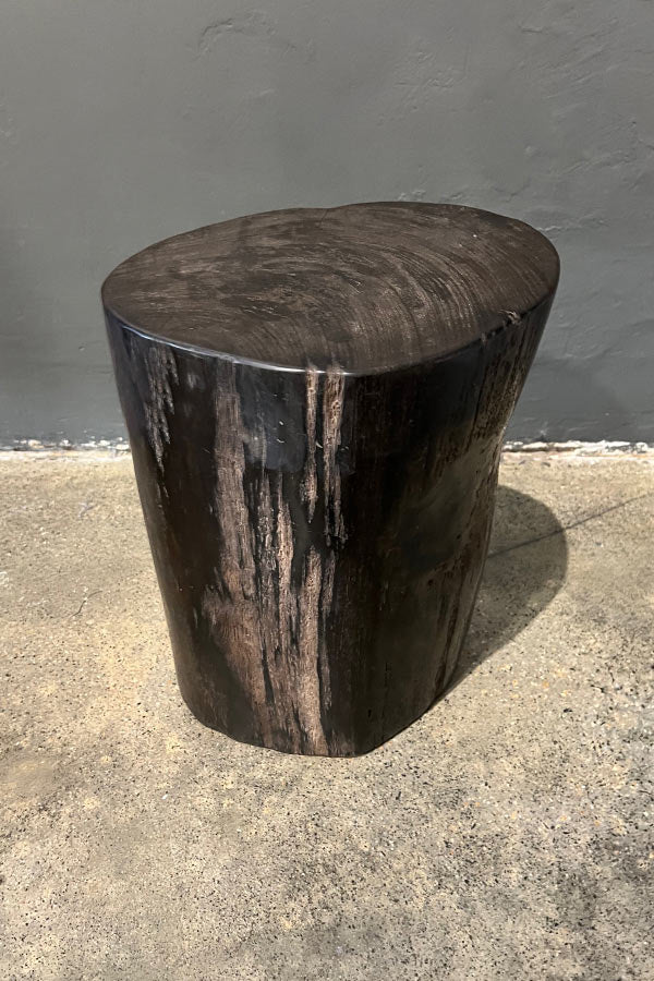 Petrified Wood Side Table or Stool