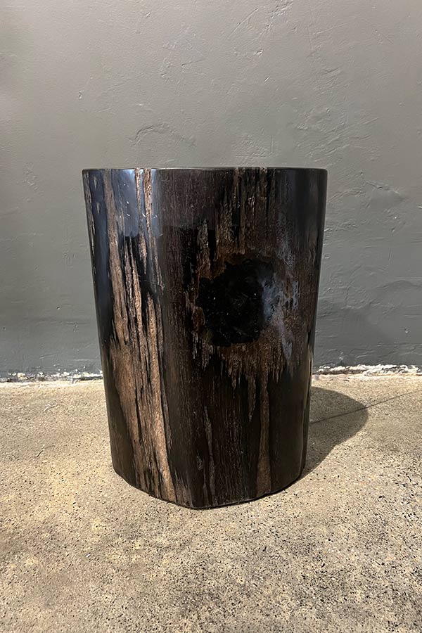 Petrified Wood Side Table or Stool