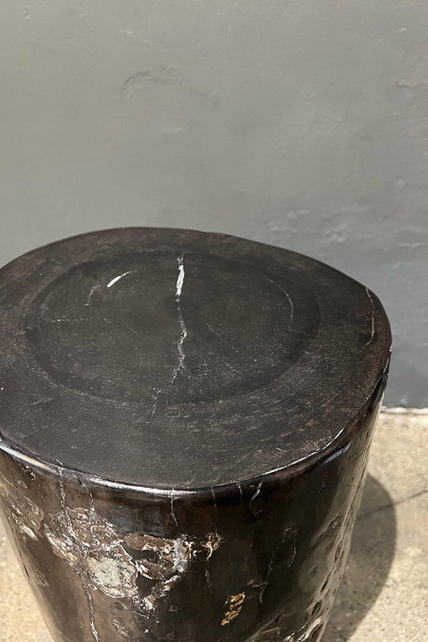 Mottled Petrified Wood Side Table or Stool