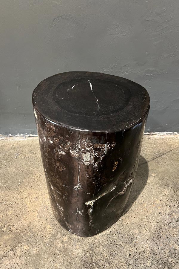 Mottled Petrified Wood Side Table or Stool