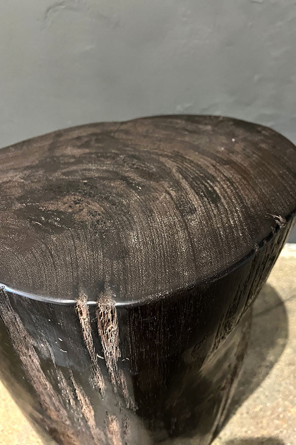 Petrified Wood Side Table or Stool