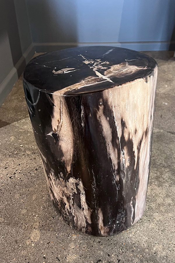 Petrified Wood Stool Black & White (Wood Turned to Stone)