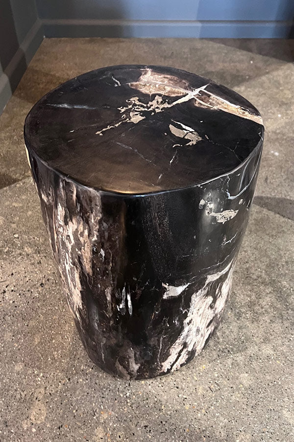 Petrified Wood Stool Black & White (Wood Turned to Stone)