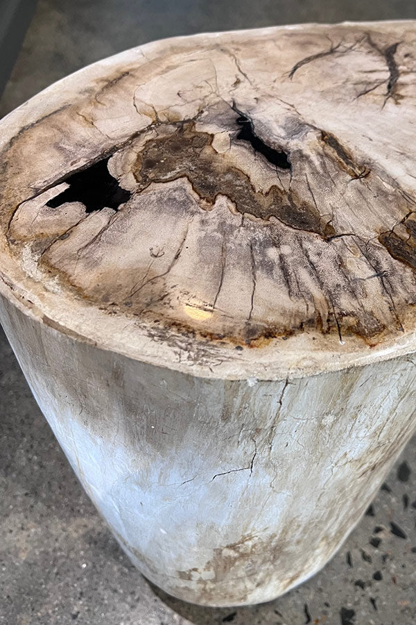 Petrified Wood Side Table. White Wood Turned to Stone