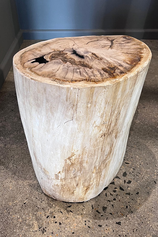 Petrified Wood Side Table. White Wood Turned to Stone