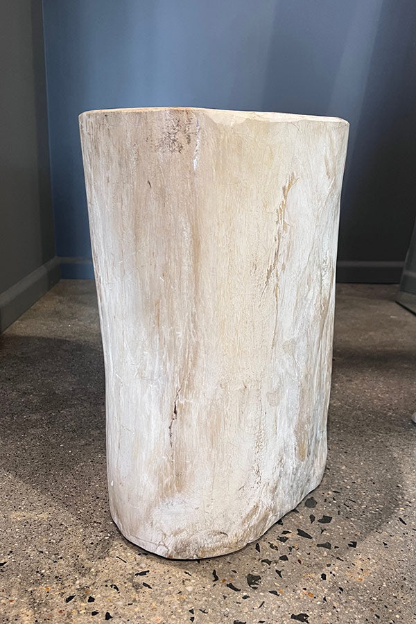 Petrified Wood Side Table. White Wood Turned to Stone