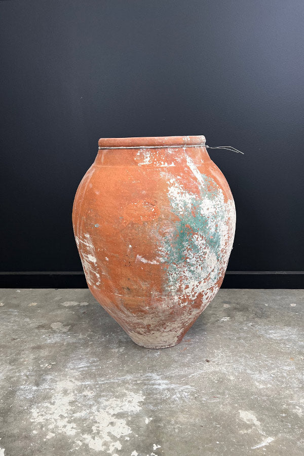 Medium Odemis Pot