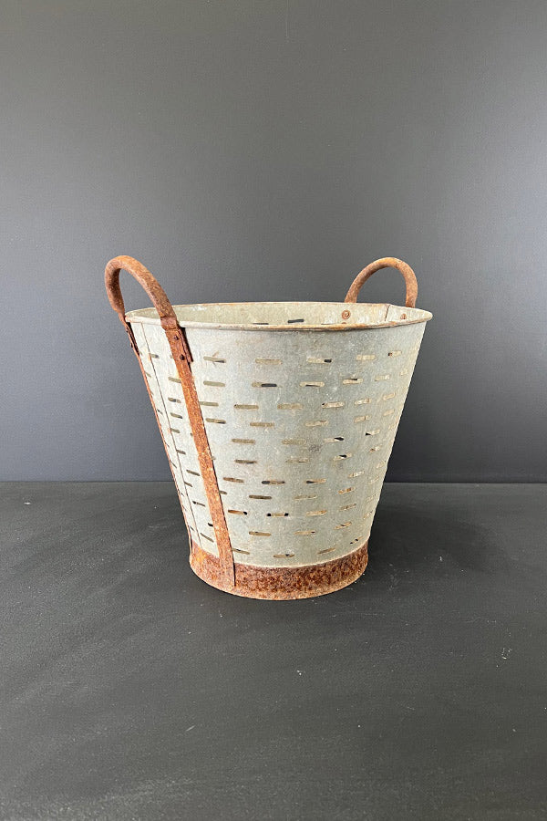 Small Galvanised Olive Planter