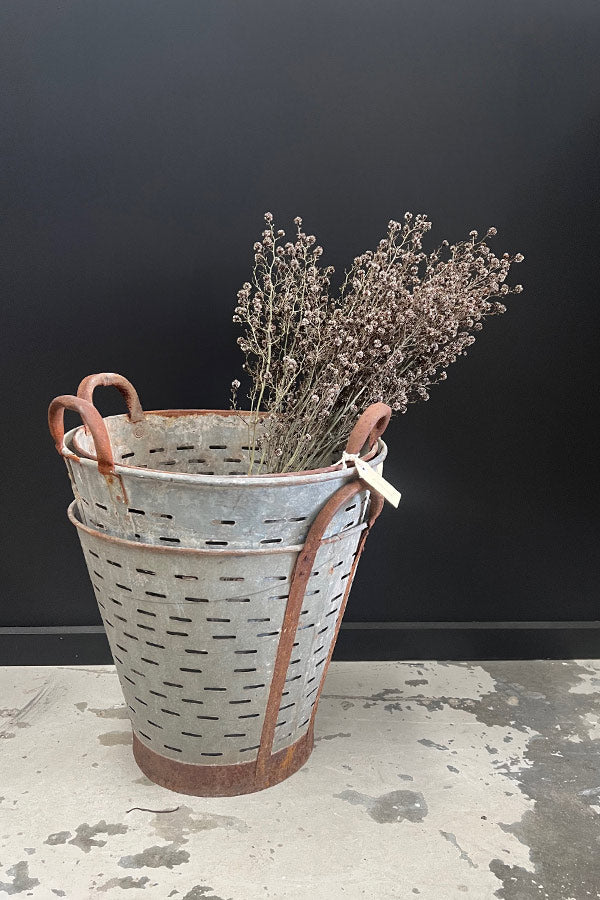 Small Galvanised Olive Planter